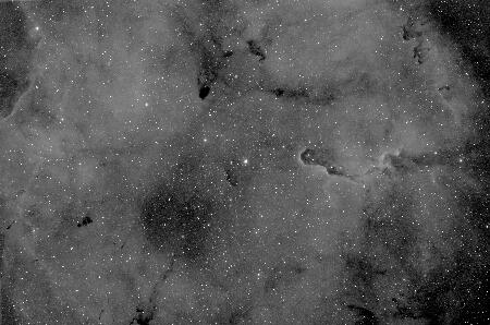 IC1396, 2023-08-02, 39x300L, APO100Q, H-alpha 7nm, Toupcam_bin2x2.jpg